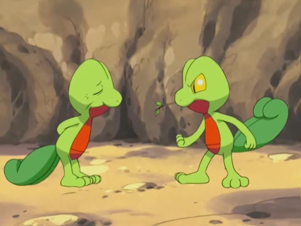 Die Geckarbor und ihr Zuhause