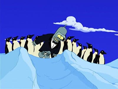 Bender unter Pinguinen