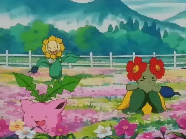 Das Pflanzen-Pokémon-Turnier